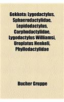 Gekkota: Lygodactylus, Sphaerodactylidae, Lepidodactylus, Carphodactylidae, Lygodactylus Williamsi, Uroplatus Henkeli, Phyllodactylidae(German)
