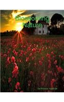 Blossoming Nature