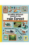 30 Million Different Insects in the Rainforest