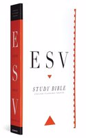 ESV Study Bible, Personal Size: English Standard Version(English)
