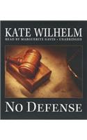 No Defense: (Barbara Holloway Novels)