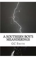 Southern Boy's Meanderings