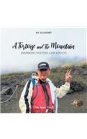 Tortoise and the Mountain