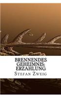 Brennendes Geheimnis: Erzahlung