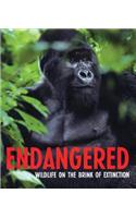 Endangered