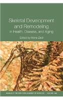 Skeletal Development and Remodeling in Health, Disease and Aging, Volume 1068