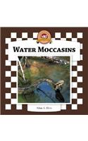 Water Moccasins