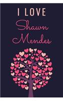 I Love Shawn Mendes