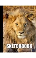 Sketchbook: Lion Cover Design - White Paper - 120 Blank Unlined Pages - 8.5" X 11" - Matte Finished Soft Cover