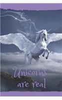 Unicorns Are Real