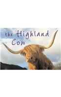 The Highland Cow