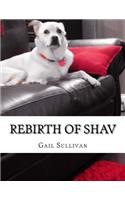 Rebirth of Shav