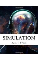 Simulation