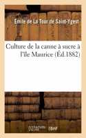 Culture de la canne à sucre à l'île Maurice