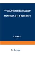 Handbuch der Bodenlehre: Band 1: Die naturwissenschaftlichen Grundlagen der Lehre von der Entstehung des Bodens(German)