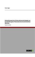 Entwicklung einer Unternehmensstrategie zur Erschließung der Potenziale des brasilianischen Marktes