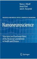 Nanoneuroscience