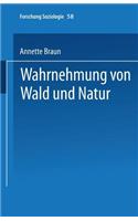 Wahrnehmung Von Wald Und Natur