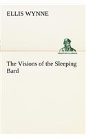 Visions of the Sleeping Bard