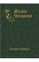 Жизнь Человека