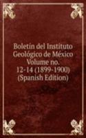 Boletin del Instituto Geologico de Mexico Volume no. 12-14 (1899-1900) (Spanish Edition)