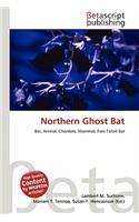 Northern Ghost Bat: (English)