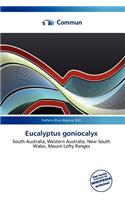Eucalyptus Goniocalyx