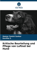 Kritische Beurteilung und Pflege von Luftnot bei Hund