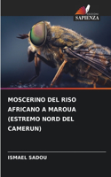 Moscerino del Riso Africano a Maroua (Estremo Nord del Camerun)