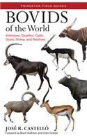 Bovids of the World