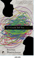 If I Could Tell You a Novel