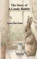 Story of a Candy Rabbit