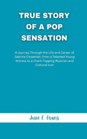 True Story Of A Pop Sensation
