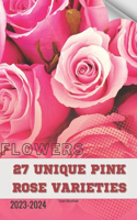 27 Unique Pink Rose Varieties: Become flowers expert