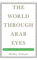 The World Through Arab Eyes