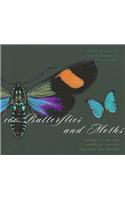 100 Butterflies and Moths