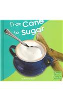 From Cane to Sugar