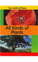 All Kinds Of Plants