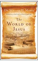 World of Jesus: Making Sense of the People and Places of Jesus' Day