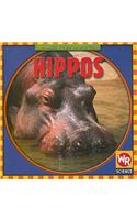 Hippos