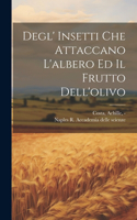 Degl' insetti che attaccano l'albero ed il frutto dell'olivo