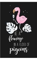 Be a Flamingo In a Flock of Pigeons