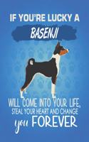 If You're Lucky A Basenji Will Come Into Your Life, Steal Your Heart And Change You Forever: Composition Notebook for Dog and Puppy Lovers