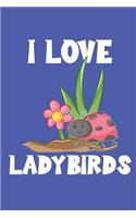I Love Ladybirds