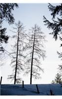Branches of Two Tall Trees Against a Winter Sky Journal: 150 Page Lined Journal/Notebook/Diary