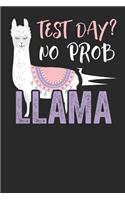 Test Day? No Prob Llama