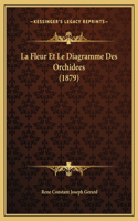 Fleur Et Le Diagramme Des Orchidees (1879)