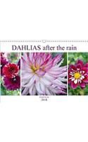 Dahlias After the Rain 2018