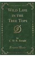 Wild Life in the Tree Tops (Classic Reprint)