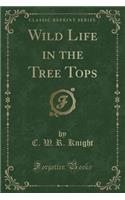 Wild Life in the Tree Tops (Classic Reprint)